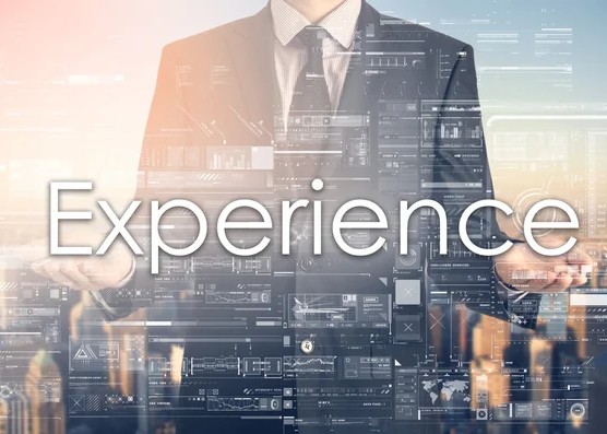 Professional Experience